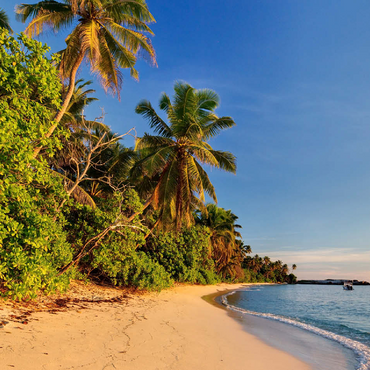 Beach Anse Forbans, East Coast, Mahe Island, Seychelles 100 Jigsaw Puzzle 3D Modell
