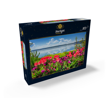 Lake promenade in Überlingen on Lake Constance in springtime for tulips blossom 100 Jigsaw Puzzle box view1