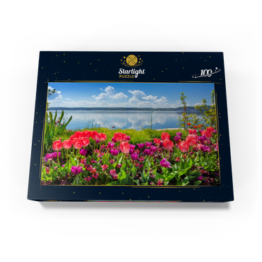 Lake promenade in Überlingen on Lake Constance in springtime for tulips blossom 100 Jigsaw Puzzle box view1