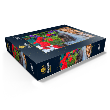 Old hiking boot with geraniums in Oberstdorf 1000 Jigsaw Puzzle box view1