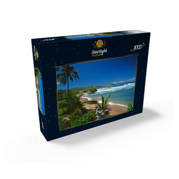 East coast near Bathseba, Barbados, Leeward Islands, Caribbean Sea 1000 Jigsaw Puzzle box view1
