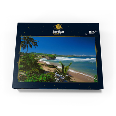 East coast near Bathseba, Barbados, Leeward Islands, Caribbean Sea 100 Jigsaw Puzzle box view1