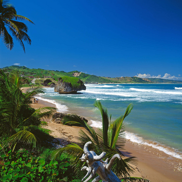 East coast near Bathseba, Barbados, Leeward Islands, Caribbean Sea 500 Jigsaw Puzzle 3D Modell