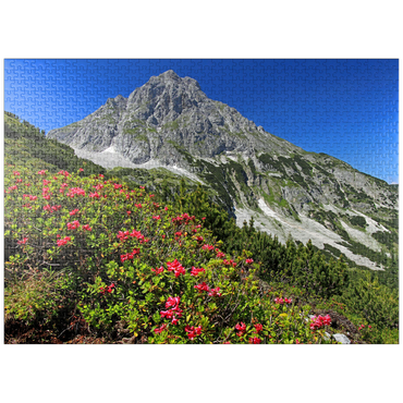 puzzleplate Blooming alpine roses at Coburger Hütte, Tyrol, Austria 1000 Jigsaw Puzzle
