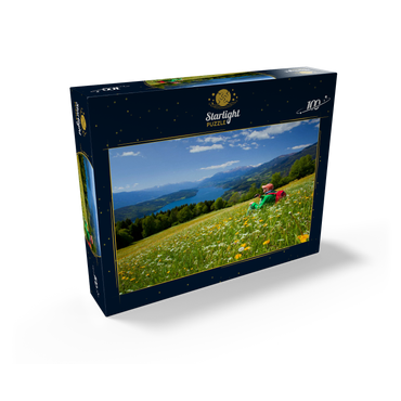 View of Millstätter See and Hohe Tauern, Carinthia, Austria 100 Jigsaw Puzzle box view1