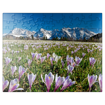 puzzleplate Crocus meadow near Gerold with Karwendel mountains, Upper Bavaria 100 Jigsaw Puzzle