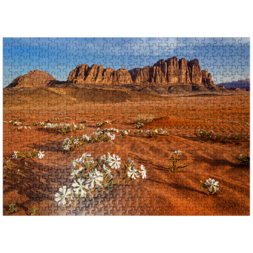 puzzleplate The desert blooms, flowers in the sand, Wadi Rum, Jordan 500 Jigsaw Puzzle