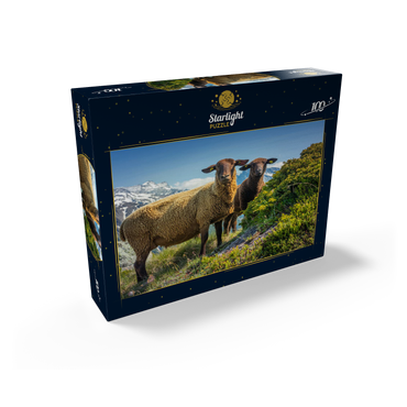 Brown mountain sheep in the hiking area Aletsch region, Aletsch region 100 Jigsaw Puzzle box view1