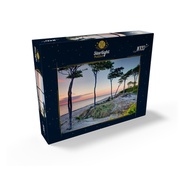 West beach at the Darss forest near Prerow, Fischland-Darß-Zingst 1000 Jigsaw Puzzle box view1