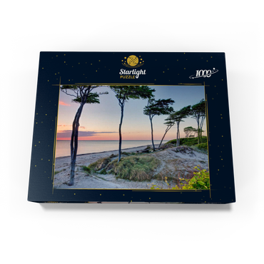 West beach at the Darss forest near Prerow, Fischland-Darß-Zingst 1000 Jigsaw Puzzle box view1