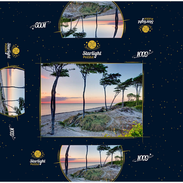 West beach at the Darss forest near Prerow, Fischland-Darß-Zingst 1000 Jigsaw Puzzle box 3D Modell