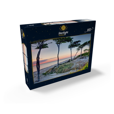 West beach at the Darss forest near Prerow, Fischland-Darß-Zingst 100 Jigsaw Puzzle box view1