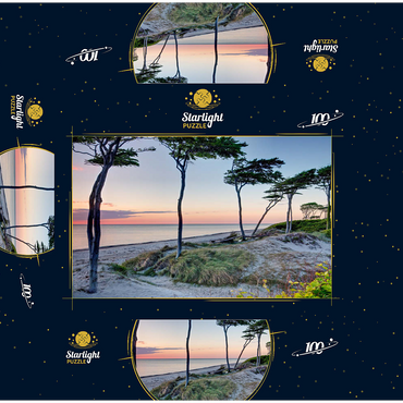 West beach at the Darss forest near Prerow, Fischland-Darß-Zingst 100 Jigsaw Puzzle box 3D Modell