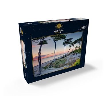 West beach at the Darss forest near Prerow, Fischland-Darß-Zingst 500 Jigsaw Puzzle box view1