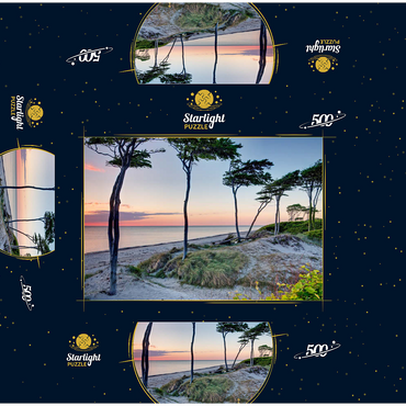 West beach at the Darss forest near Prerow, Fischland-Darß-Zingst 500 Jigsaw Puzzle box 3D Modell