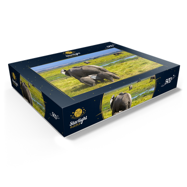 Elephants (Loxodonta africana) in Amboseli National Park 500 Jigsaw Puzzle box view1