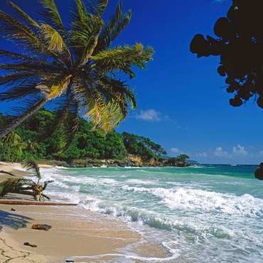 Cayo Levantado, Samana, Dominican Republic 1000 Jigsaw Puzzle 3D Modell