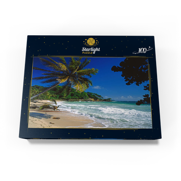 Cayo Levantado, Samana, Dominican Republic 100 Jigsaw Puzzle box view1