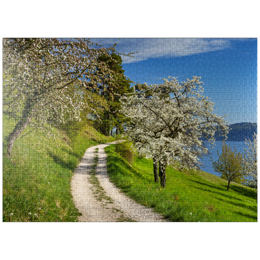 puzzleplate Blossom trail between Ludwigshafen and Sipplingen for the blossoming of trees in springtime 1000 Jigsaw Puzzle