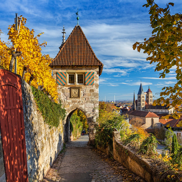 Neckarhaldentor and view to the old town, Esslingen am Neckar 1000 Jigsaw Puzzle 3D Modell