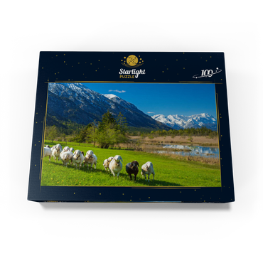 Sheep at the Seven Springs against Estergebirge and Zugspitzgruppe (2962m), Upper Bavaria 100 Jigsaw Puzzle box view1