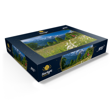 Isenfluh, hamlet Sulwald mountain station of the cable car against Eiger, Mönch and Jungfrau 1000 Jigsaw Puzzle box view1