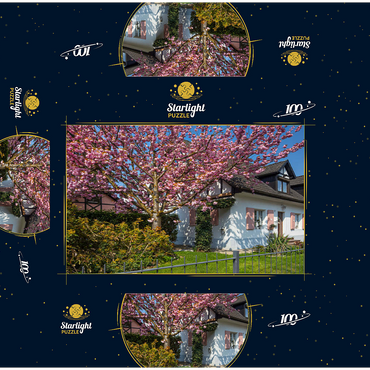Flowering ornamental cherry on a residential building 100 Jigsaw Puzzle box 3D Modell