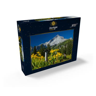 Fountain at Kreuzeck with Alpspitze (2628m), Garmisch-Partenkirchen, Upper Bavaria 1000 Jigsaw Puzzle box view1