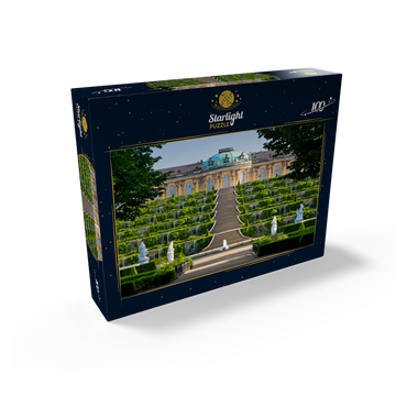 Sanssouci Palace with the vineyard terraces in the park, Potsdam 100 Jigsaw Puzzle box view1
