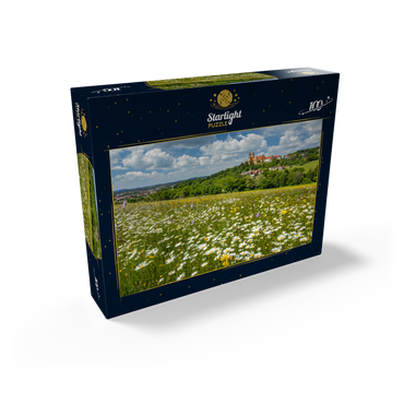 Schönenbergkirche, pilgrimage church Schönenberg near Ellwangen, Ostalbkreis, Swabian Alb 100 Jigsaw Puzzle box view1