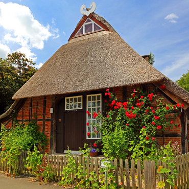 Farmhouse near Mölln 1000 Jigsaw Puzzle 3D Modell