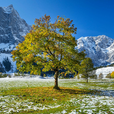 Mountain horn in the Eng 100 Jigsaw Puzzle 3D Modell