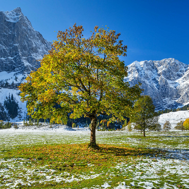 Mountain horn in the Eng 500 Jigsaw Puzzle 3D Modell