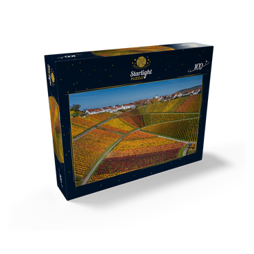 Vineyards near Rotenberg in the district of Untertürkheim 100 Jigsaw Puzzle box view1