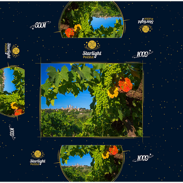 Vineyard with the family towers of San Gimignano, province of Siena, Tuscany, Italy 1000 Jigsaw Puzzle box 3D Modell