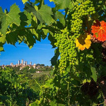 Vineyard with the family towers of San Gimignano, province of Siena, Tuscany, Italy 100 Jigsaw Puzzle 3D Modell