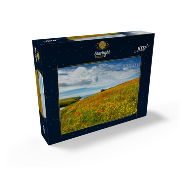 Wildflower meadow near West Pentire, North Coast, Cornwall 1000 Jigsaw Puzzle box view1