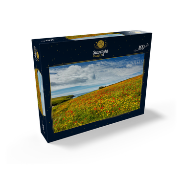 Wildflower meadow near West Pentire, North Coast, Cornwall 100 Jigsaw Puzzle box view1