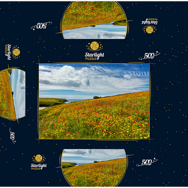 Wildflower meadow near West Pentire, North Coast, Cornwall 500 Jigsaw Puzzle box 3D Modell