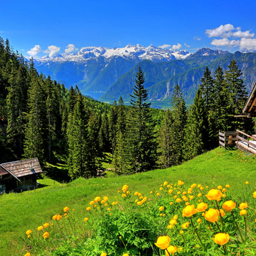 Mountain huts on the Hütteneckalm with view to the Hallstättersee and to the Dachstein (2995m) 500 Jigsaw Puzzle 3D Modell