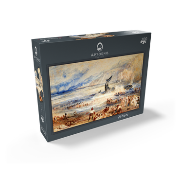 The Whale on Shore 100 Jigsaw Puzzle box view1