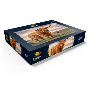 Strict pair of Highland cows caught on the north coast of Scotland 500 Jigsaw Puzzle box view1