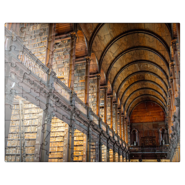 puzzleplate Books in the Long Room Library, Trinity College Dublin Ireland 100 Jigsaw Puzzle