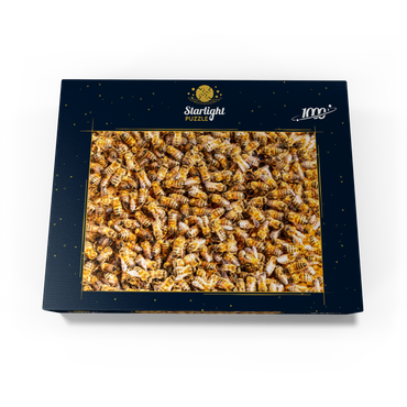 Worker honey bees on a frame from a hive. 1000 Jigsaw Puzzle box view1
