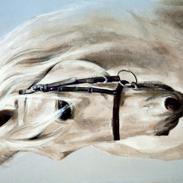 Head in profile a white horse. oil painting 500 Jigsaw Puzzle 3D Modell