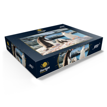 Strongster Gentoo Penguin Cute Funny Baby Chick Mama Penguins Colony Wildlife King Birds Polar Animals Cold Wild Life Creatures Antarctica Antarctic Peninsula Deception Island Crescent Georgia 1000 Jigsaw Puzzle box view1