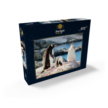 Strongster Gentoo Penguin Cute Funny Baby Chick Mama Penguins Colony Wildlife King Birds Polar Animals Cold Wild Life Creatures Antarctica Antarctic Peninsula Deception Island Crescent Georgia 1000 Jigsaw Puzzle box view1