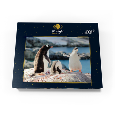 Strongster Gentoo Penguin Cute Funny Baby Chick Mama Penguins Colony Wildlife King Birds Polar Animals Cold Wild Life Creatures Antarctica Antarctic Peninsula Deception Island Crescent Georgia 1000 Jigsaw Puzzle box view1
