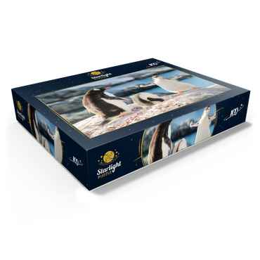 Strongster Gentoo Penguin Cute Funny Baby Chick Mama Penguins Colony Wildlife King Birds Polar Animals Cold Wild Life Creatures Antarctica Antarctic Peninsula Deception Island Crescent Georgia 100 Jigsaw Puzzle box view1