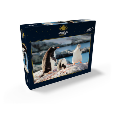 Strongster Gentoo Penguin Cute Funny Baby Chick Mama Penguins Colony Wildlife King Birds Polar Animals Cold Wild Life Creatures Antarctica Antarctic Peninsula Deception Island Crescent Georgia 100 Jigsaw Puzzle box view1